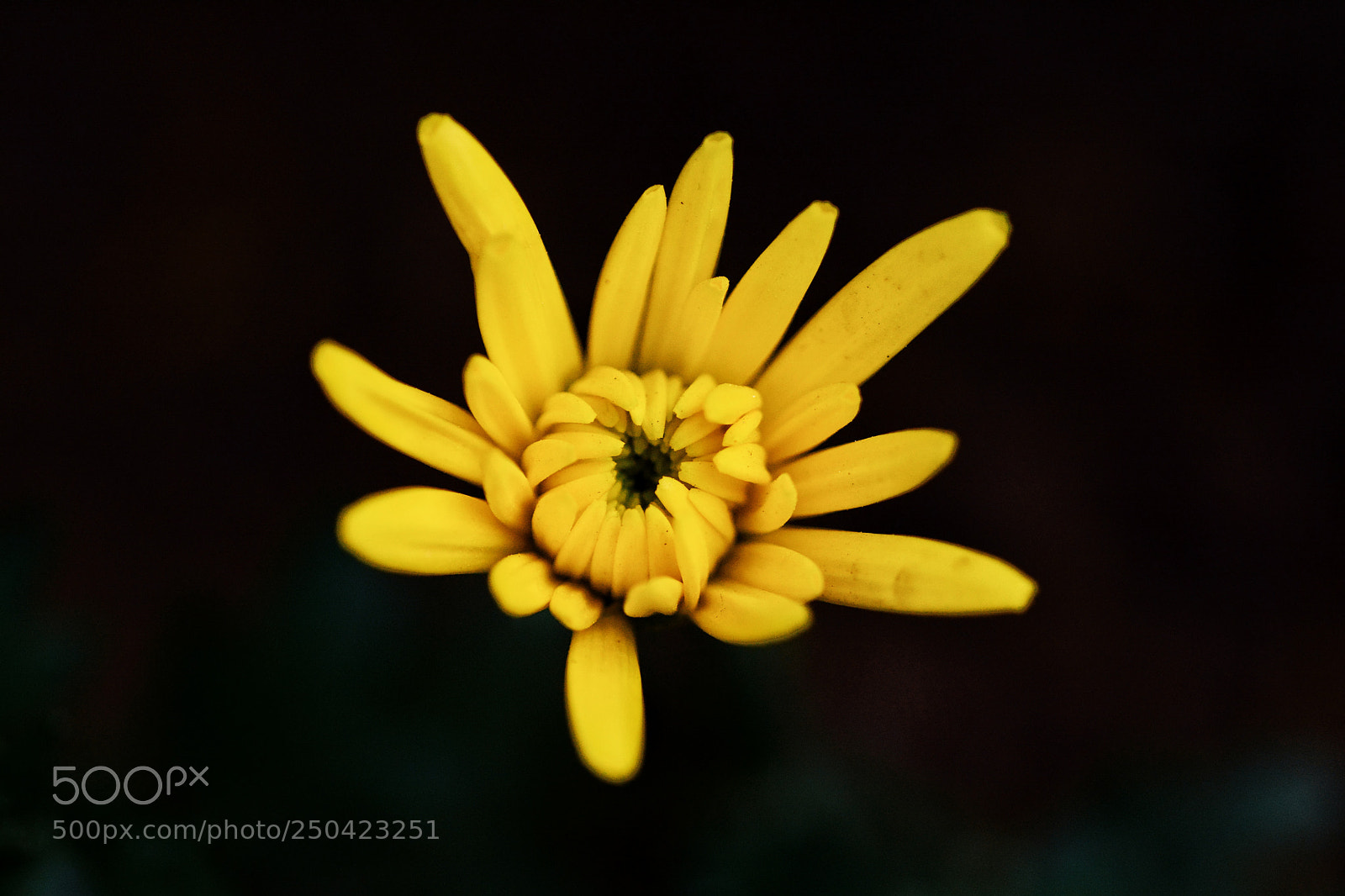 Nikon D7100 sample photo. Untitled photography