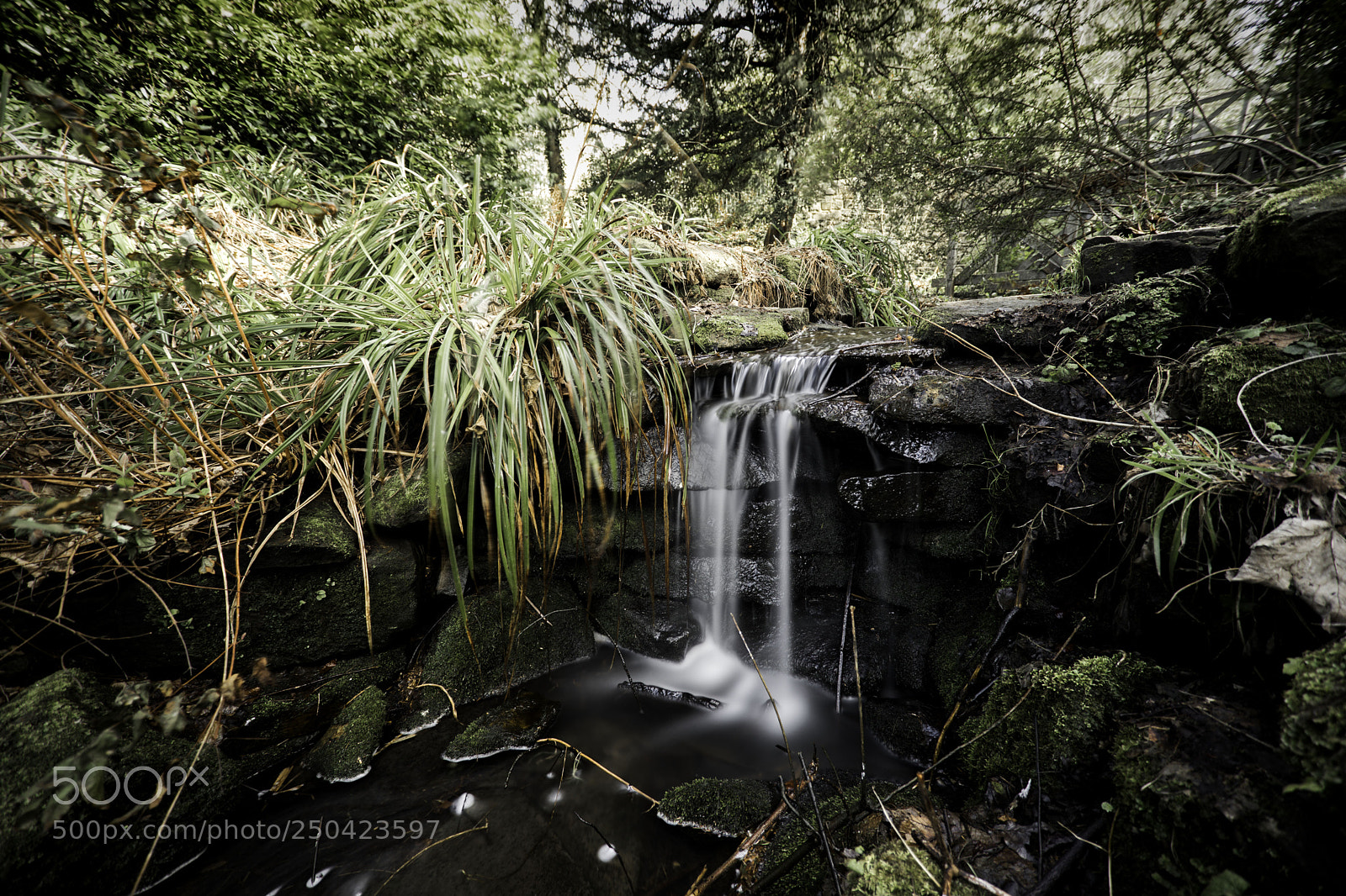 Canon EOS 6D Mark II sample photo. Small saltwell waterfall photography