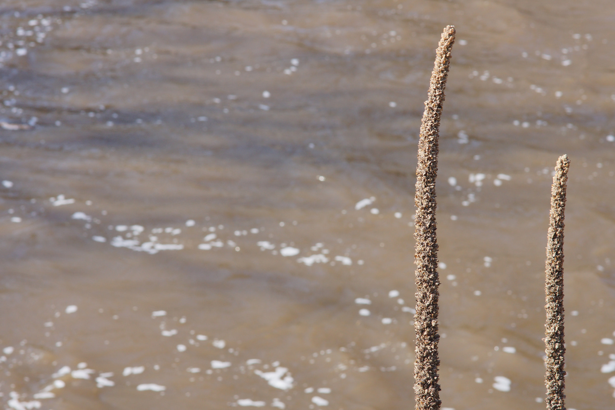 Sony SLT-A65 (SLT-A65V) sample photo. Calming waters photography