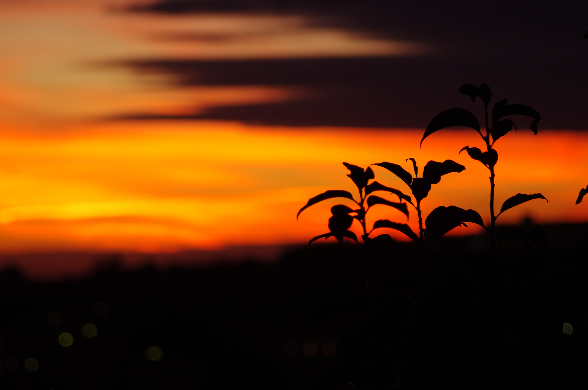 Pentax K-r sample photo. Porto azzurro sunrise photography