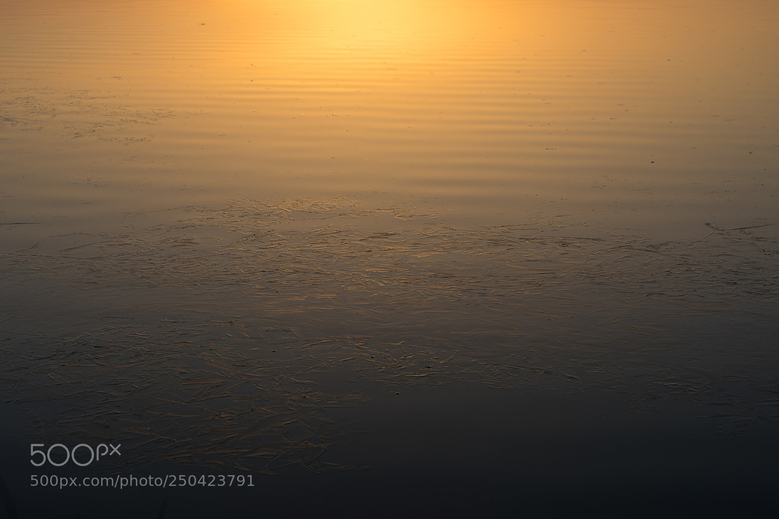 Canon EOS 5D Mark IV sample photo. Water flow photography