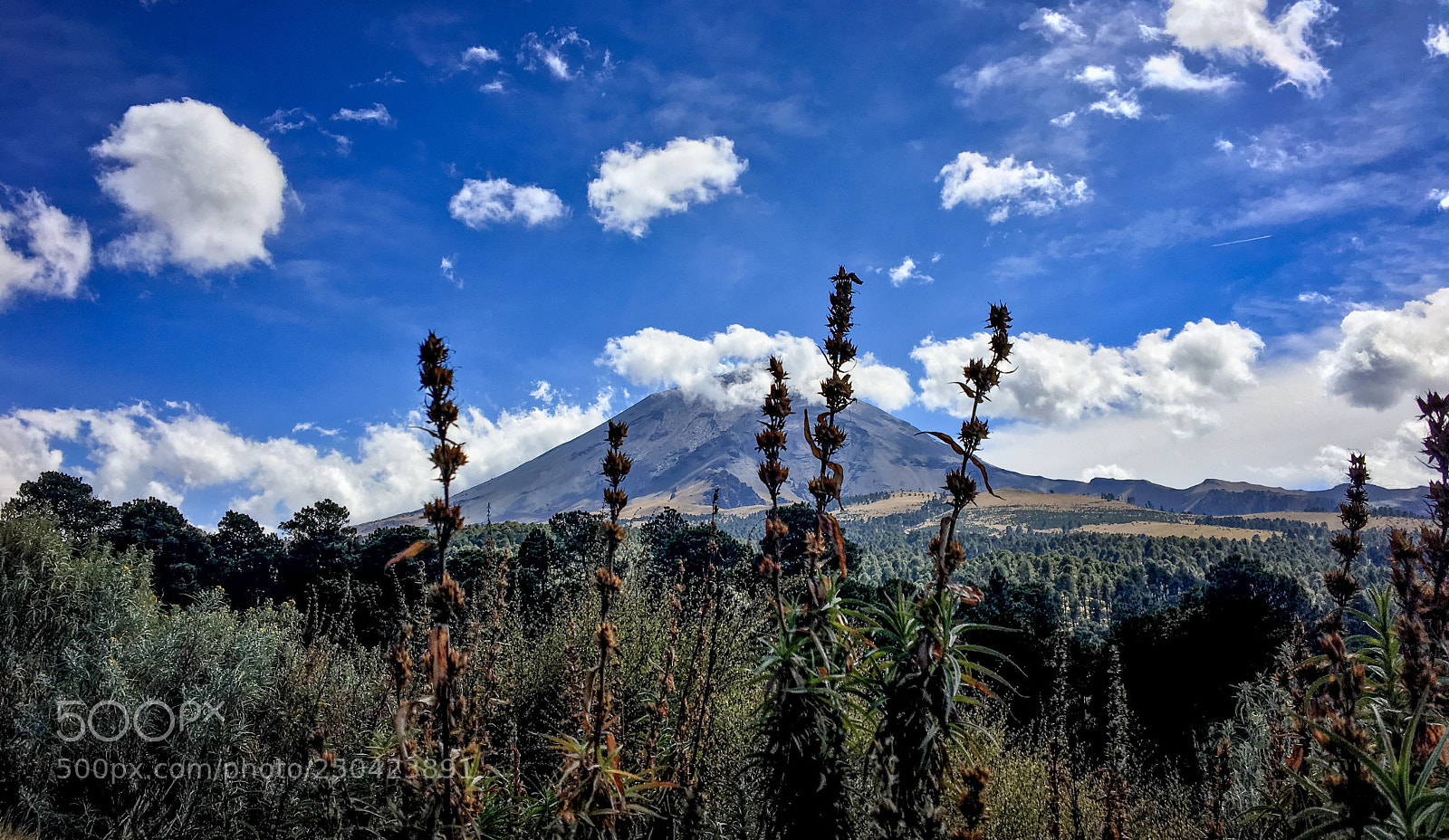 Apple iPhone 6s sample photo. Popocat petl a.k.a. don photography