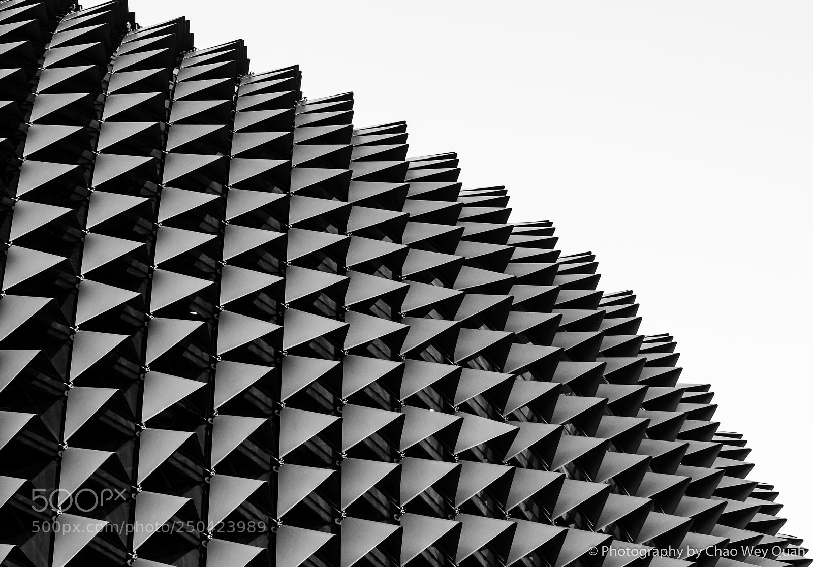 Sony a7 sample photo. Durian spikes photography