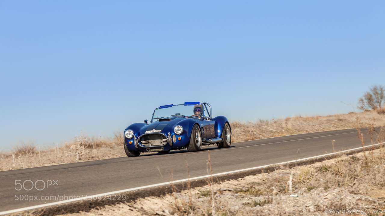 Canon EOS 5D Mark II sample photo. Ac cobra photography