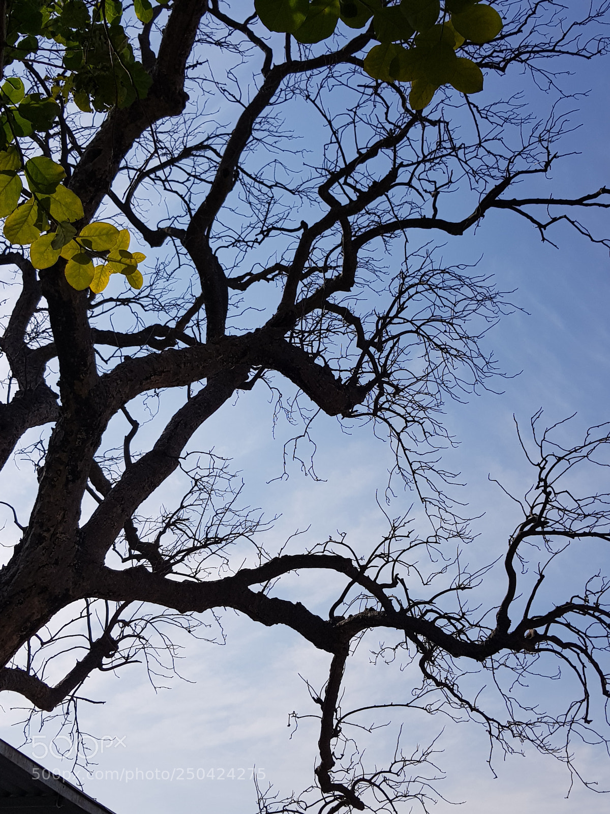Samsung Galaxy S8 sample photo. 20180205_123204.jpg photography