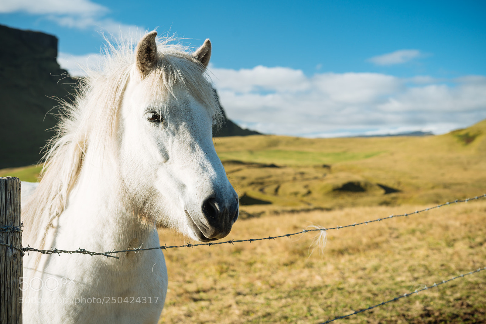 Sony a7R II sample photo. Captured freedom photography