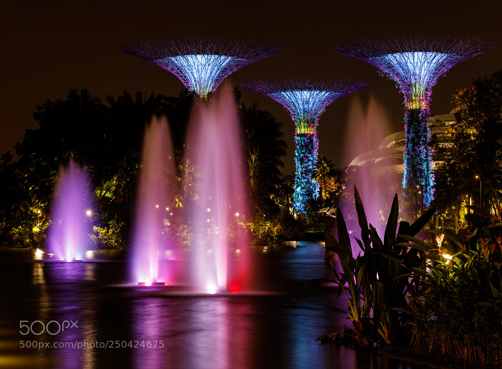 Canon EOS-1D X Mark II sample photo. Gardens by the bay photography