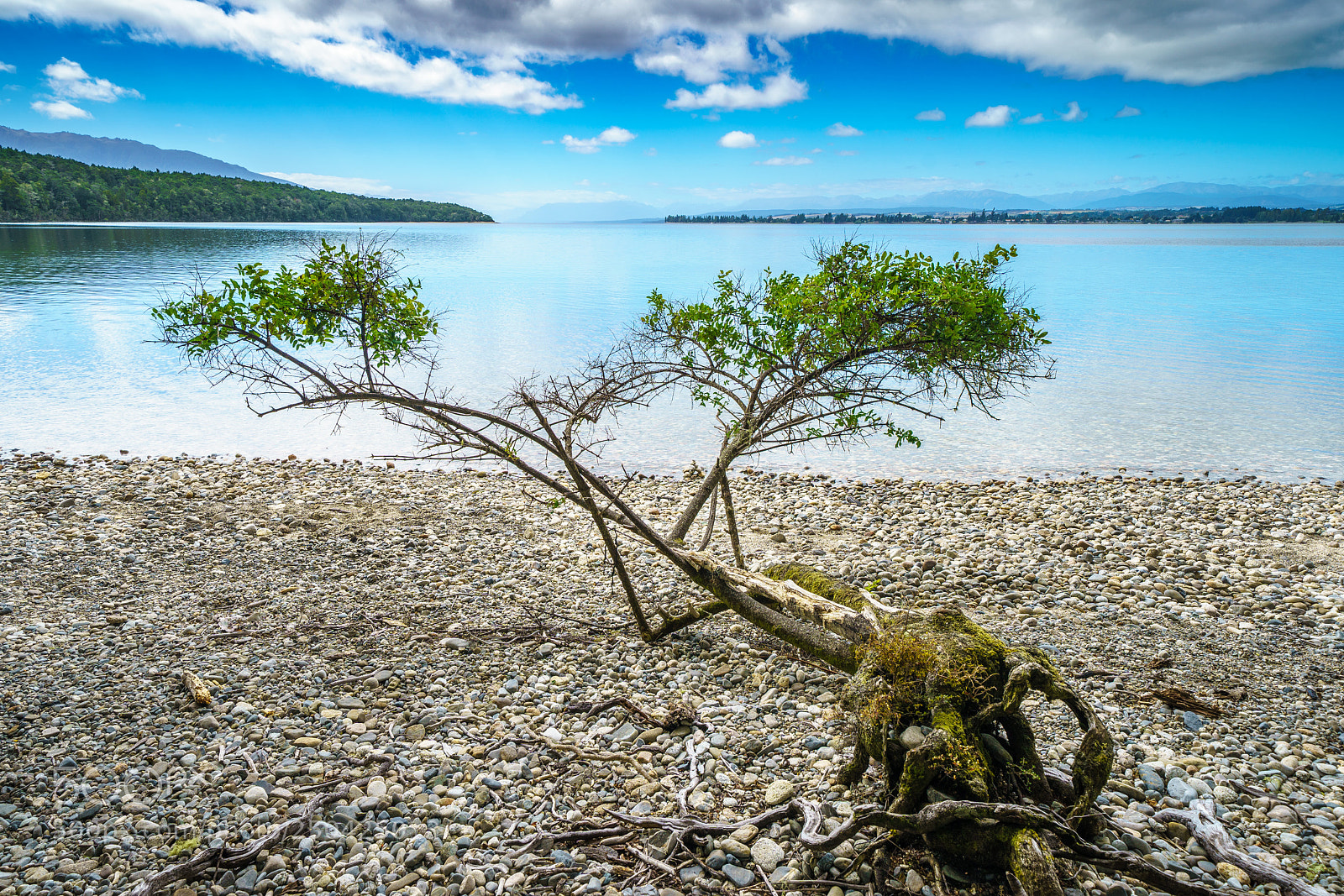 Sony a9 sample photo. Lakefront of the lake photography