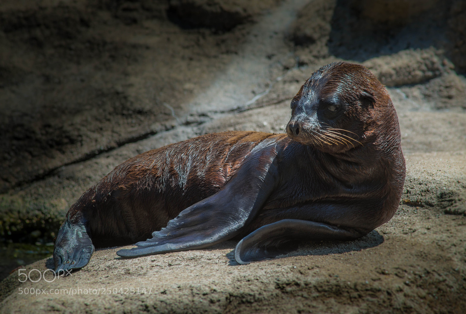 Sony SLT-A99V sample photo. Relax everyone - sea photography