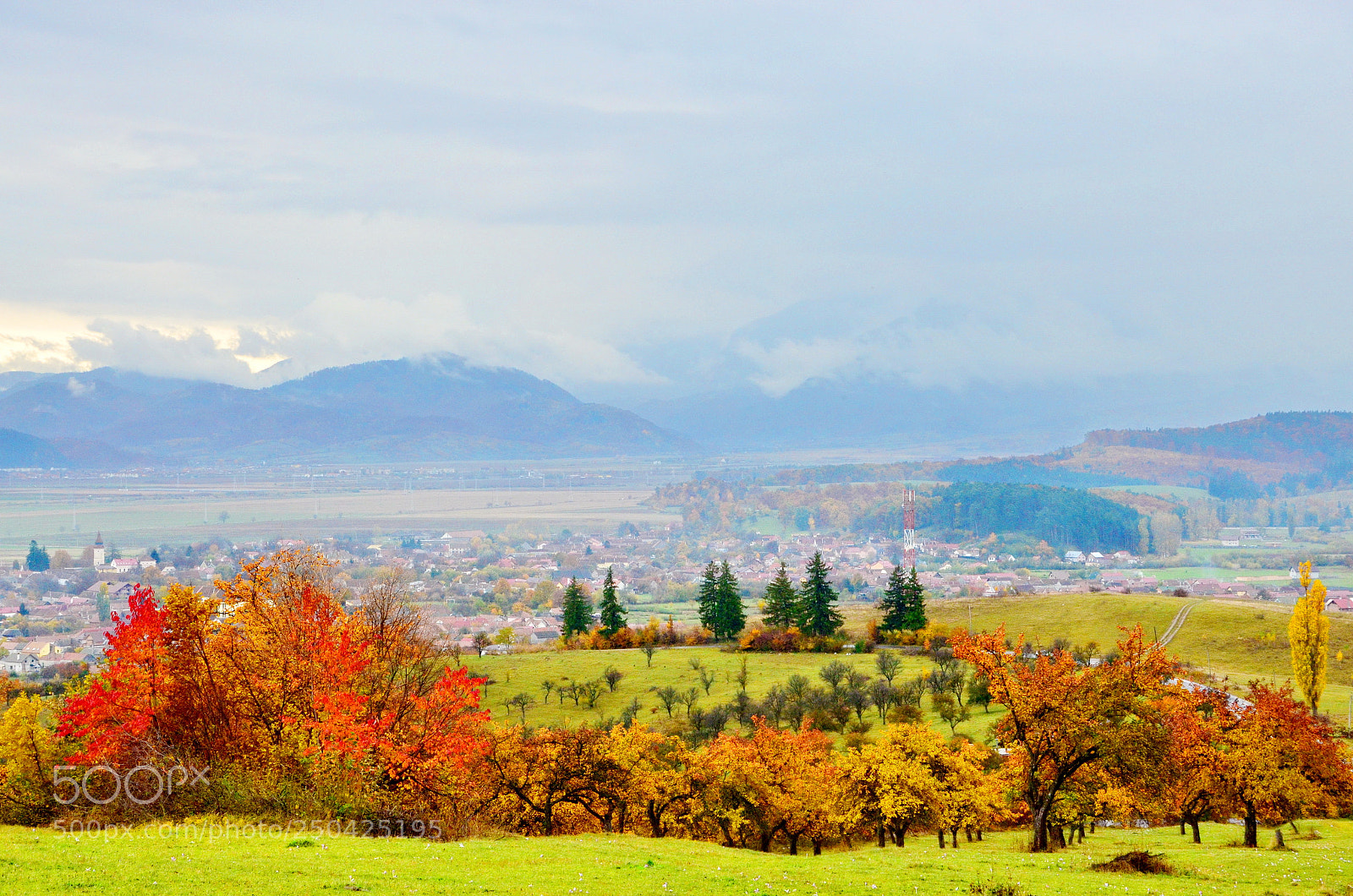 Nikon D5100 sample photo. Autumn red photography
