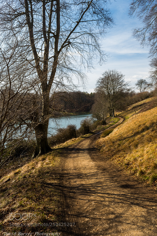 Nikon D7200 sample photo. Long and winding road photography