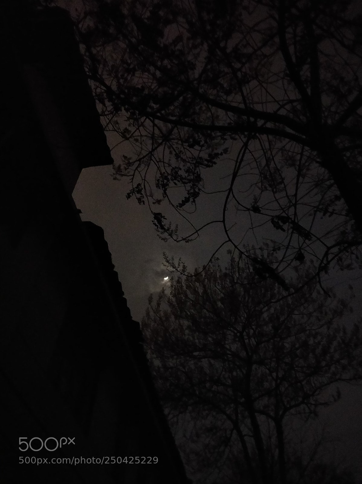 OnePlus 5T sample photo. Good night photography
