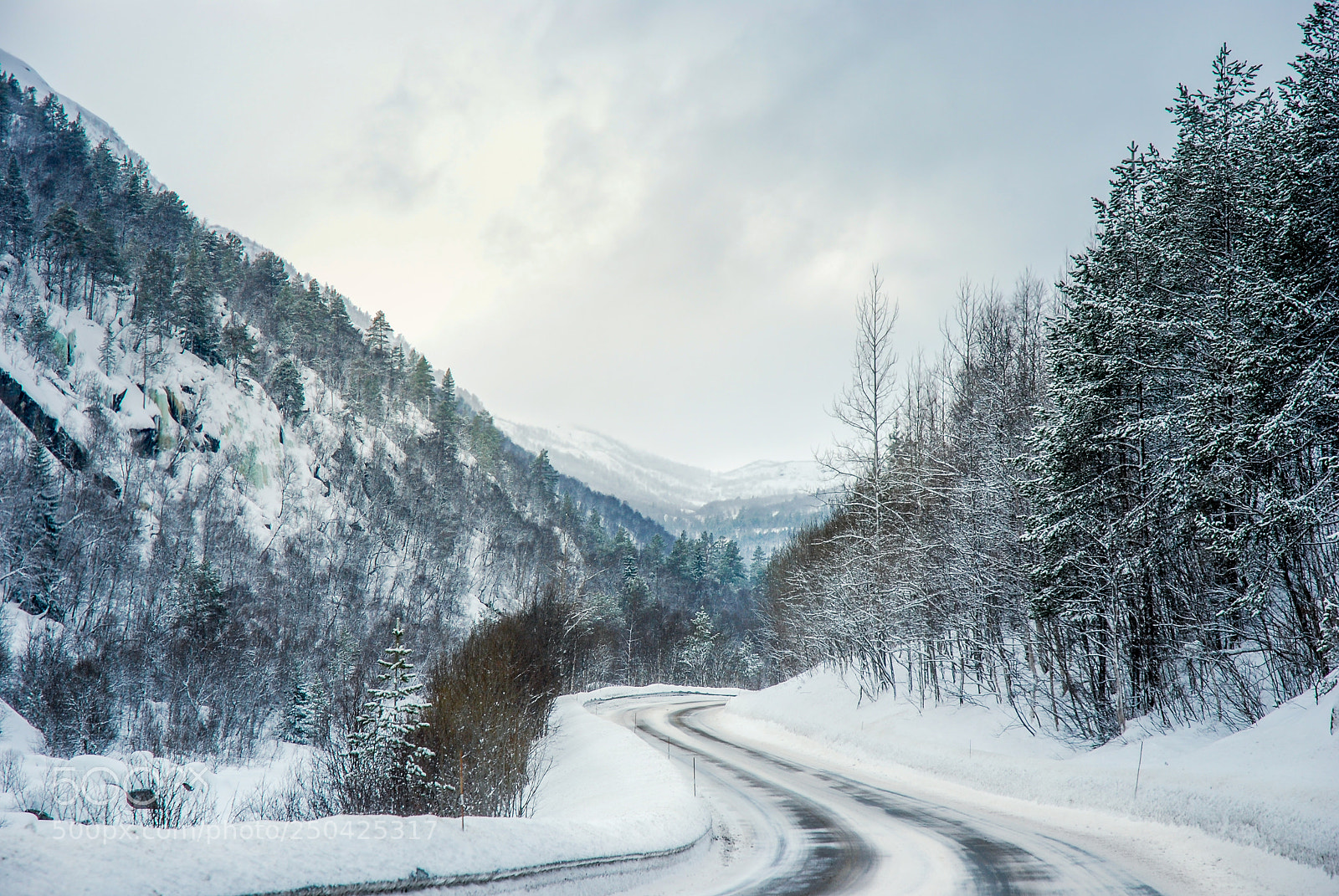 Nikon D80 sample photo. Winter road in norway photography