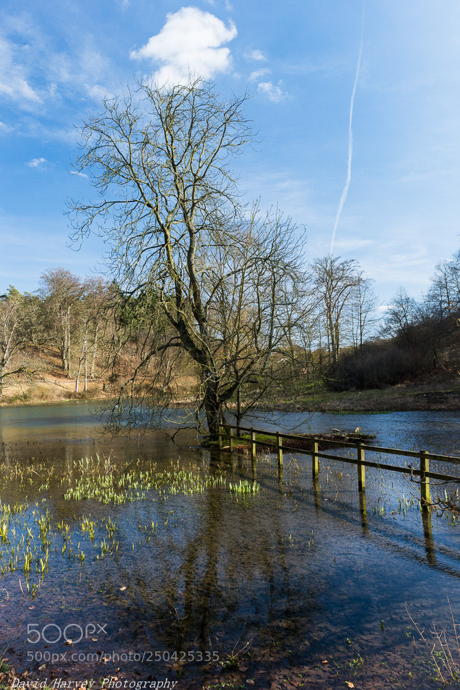 Nikon D7200 sample photo. Calm photography