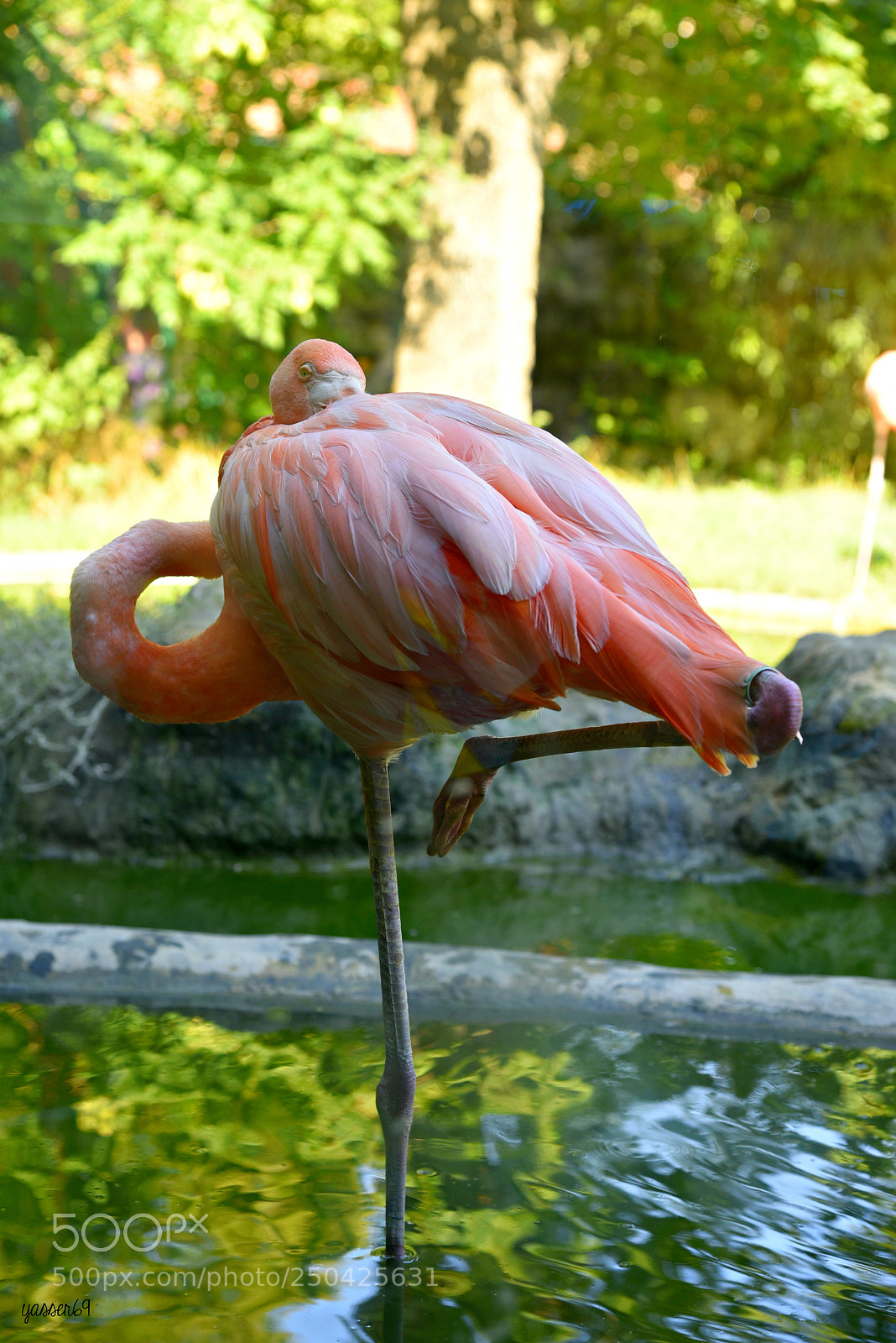 Nikon AF-S Nikkor 24-120mm F4G ED VR sample photo. Dsc photography
