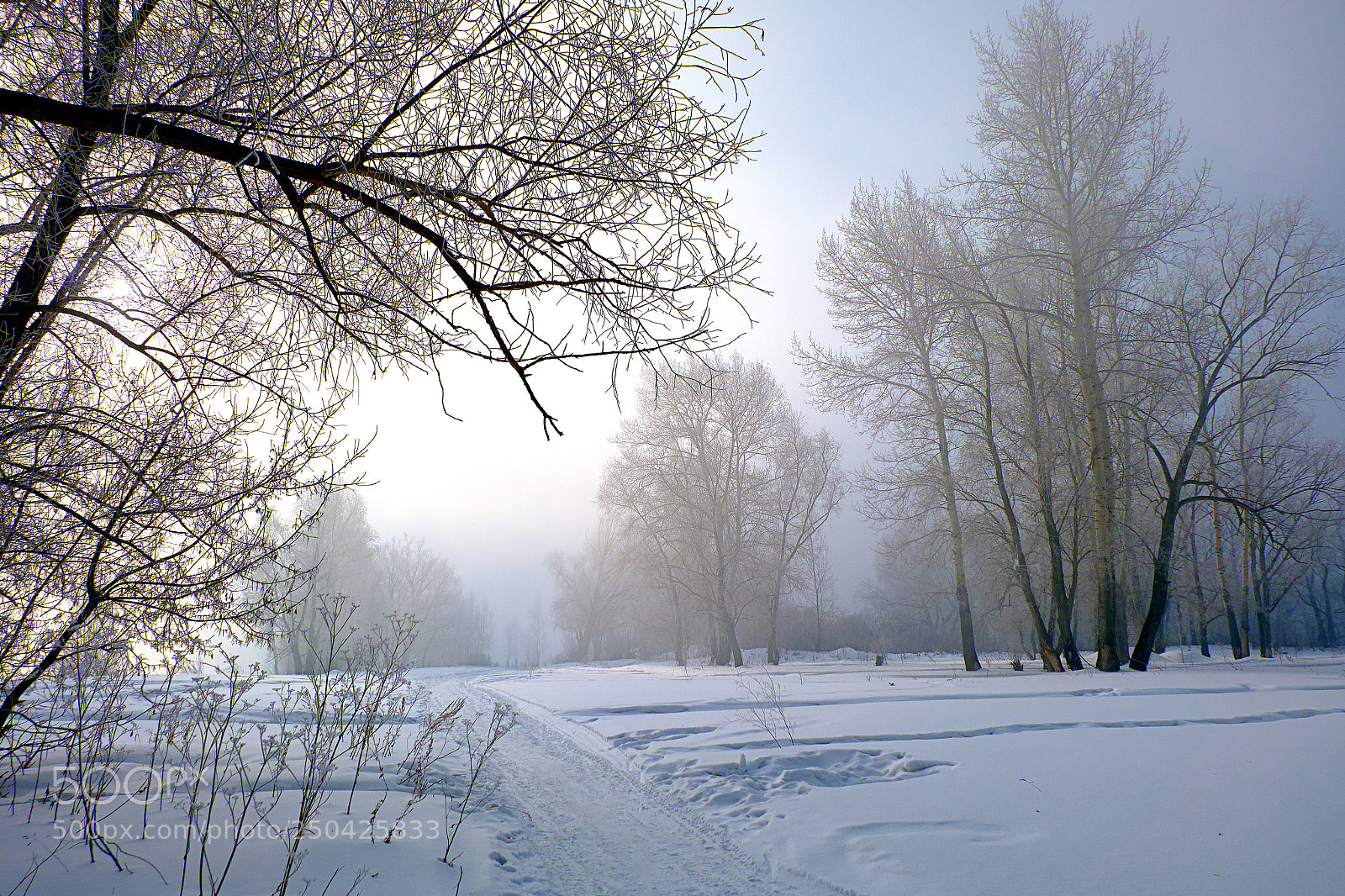 Fujifilm X-A1 sample photo. Walk in a foggy photography