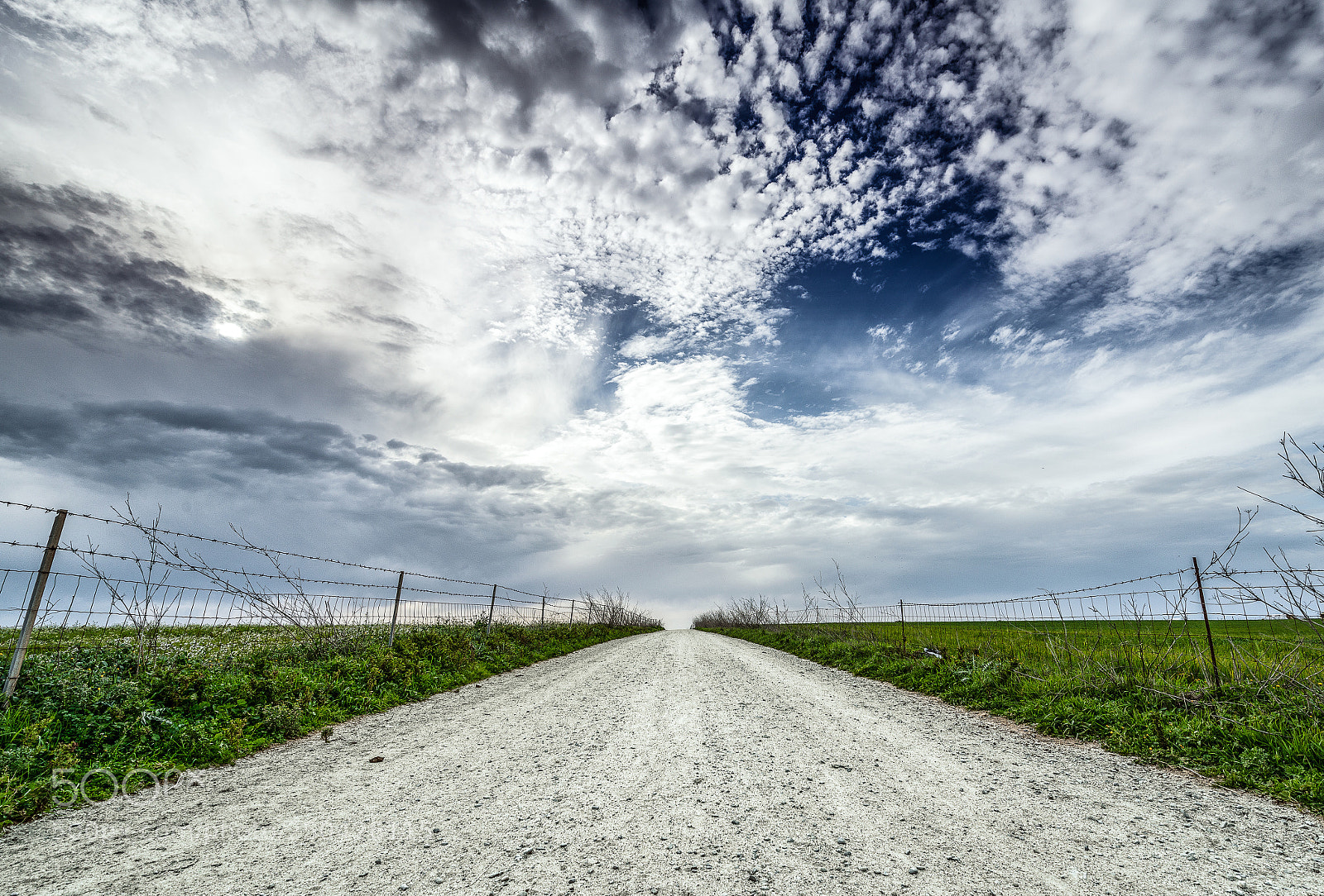 Nikon D800 sample photo. No way photography