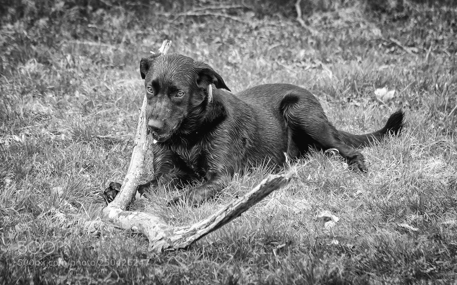 Canon EOS 7D sample photo. Stans friday shoot photography