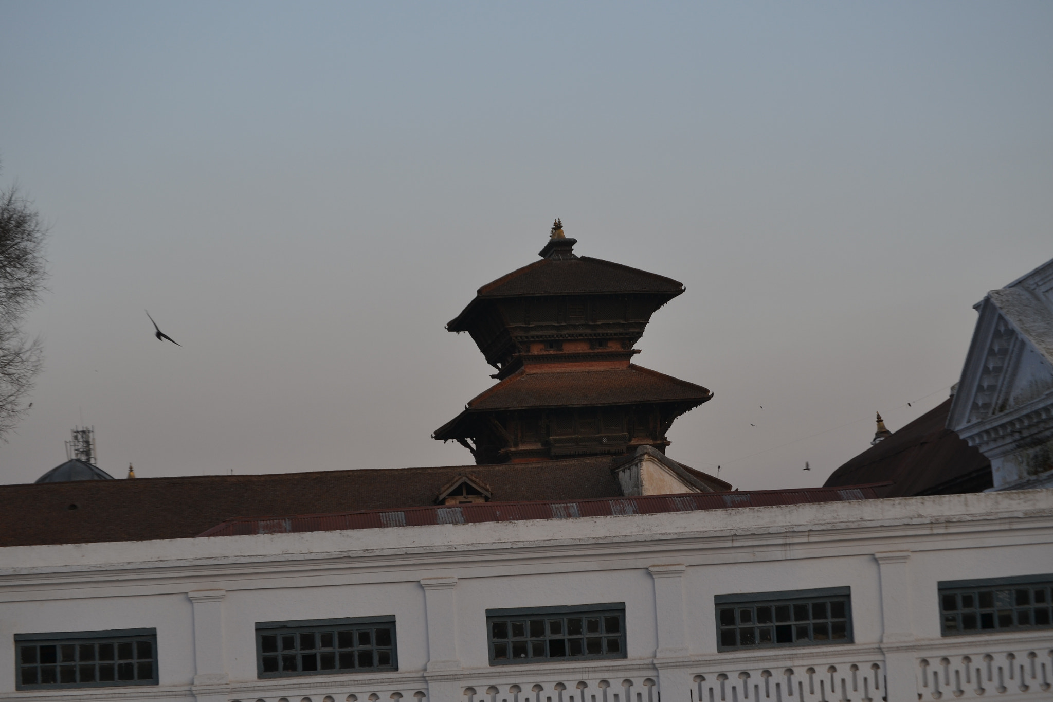 Nikon D3100 sample photo. Basantapur durbar photography
