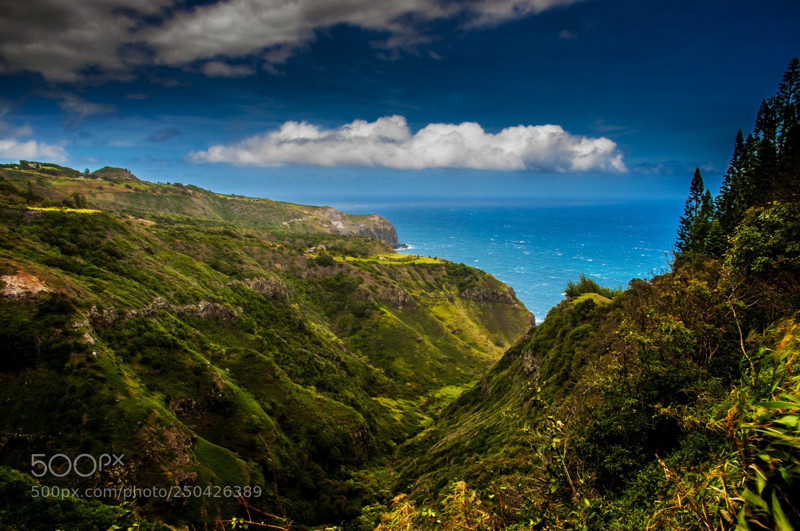 Nikon D300 sample photo. Maui north photography