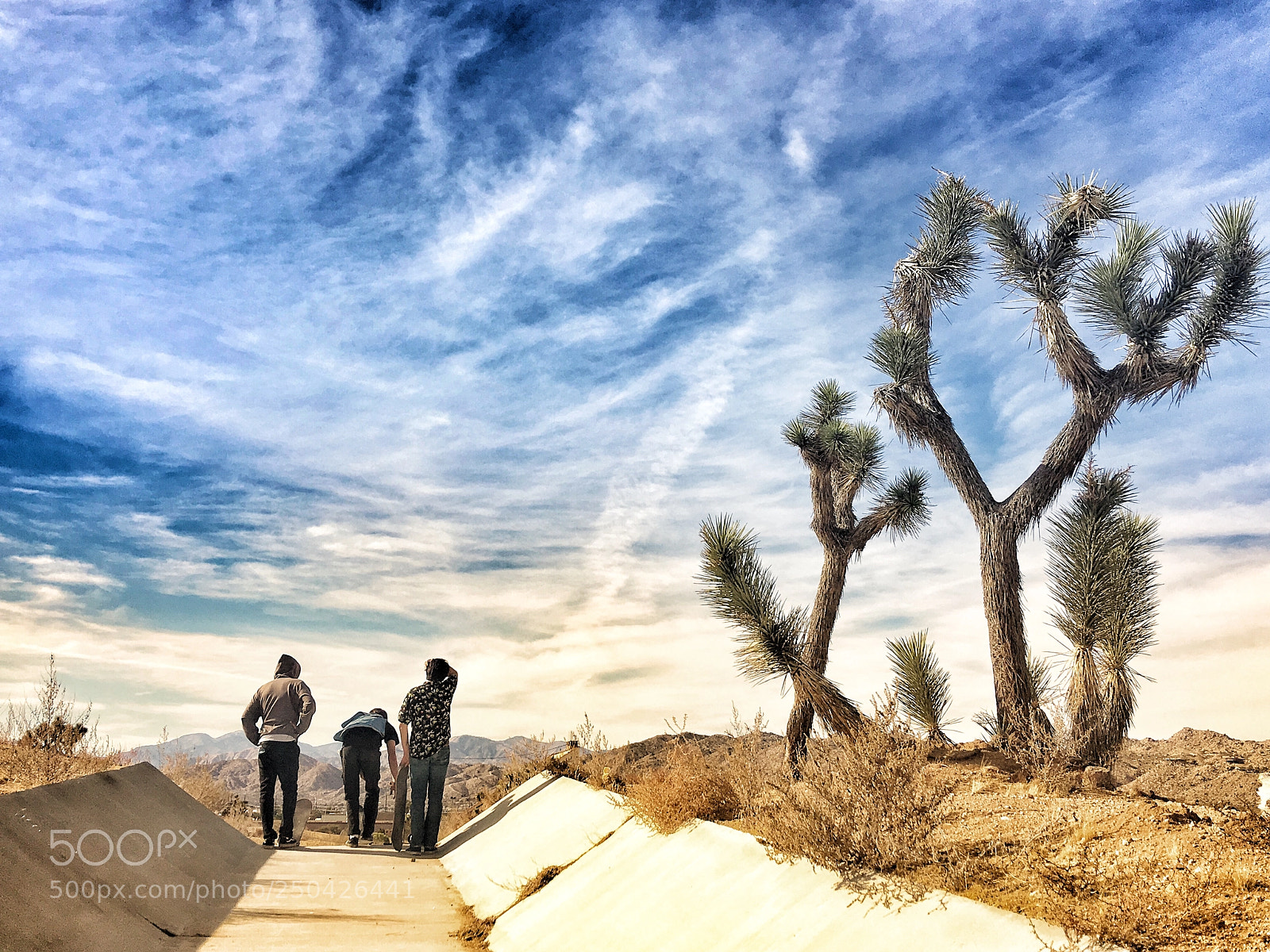 Apple iPhone 6s Plus sample photo. Desert dogs photography