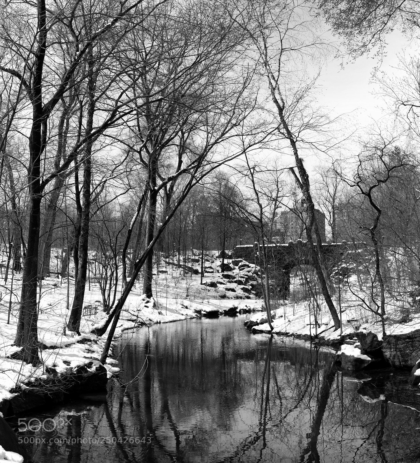 Sony a7R II sample photo. Central park ravine iii photography