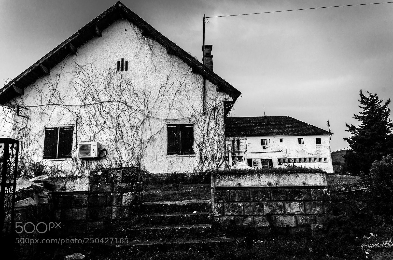 Nikon D7000 sample photo. B&w house photography