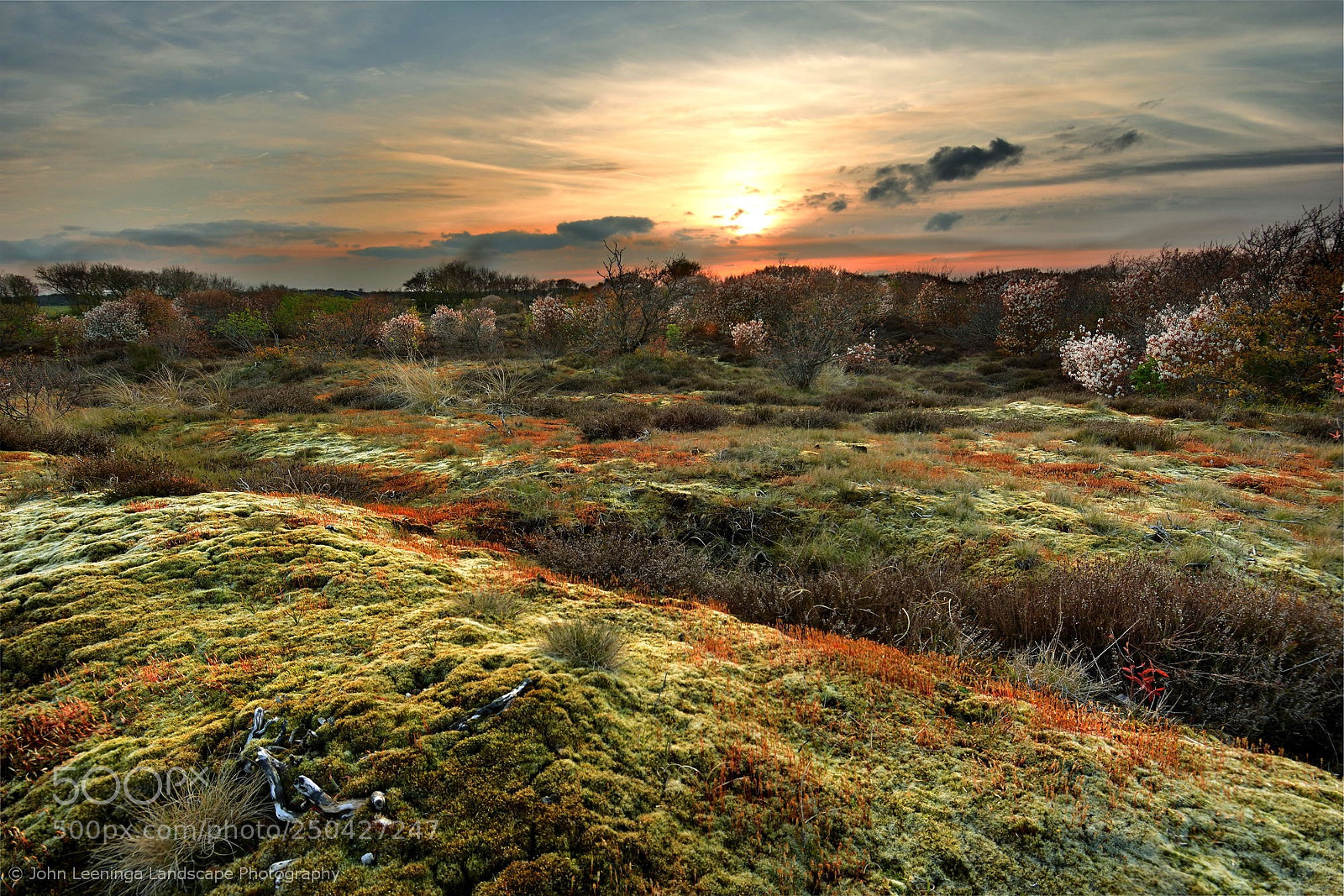Nikon D7200 sample photo. Sunset texel photography