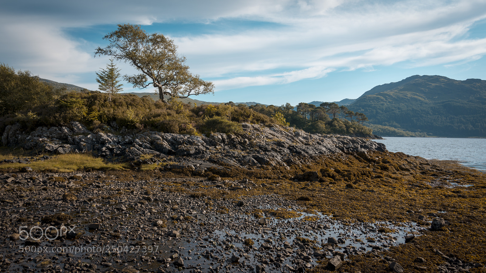 Nikon D800 sample photo. Sea, tree & sky photography