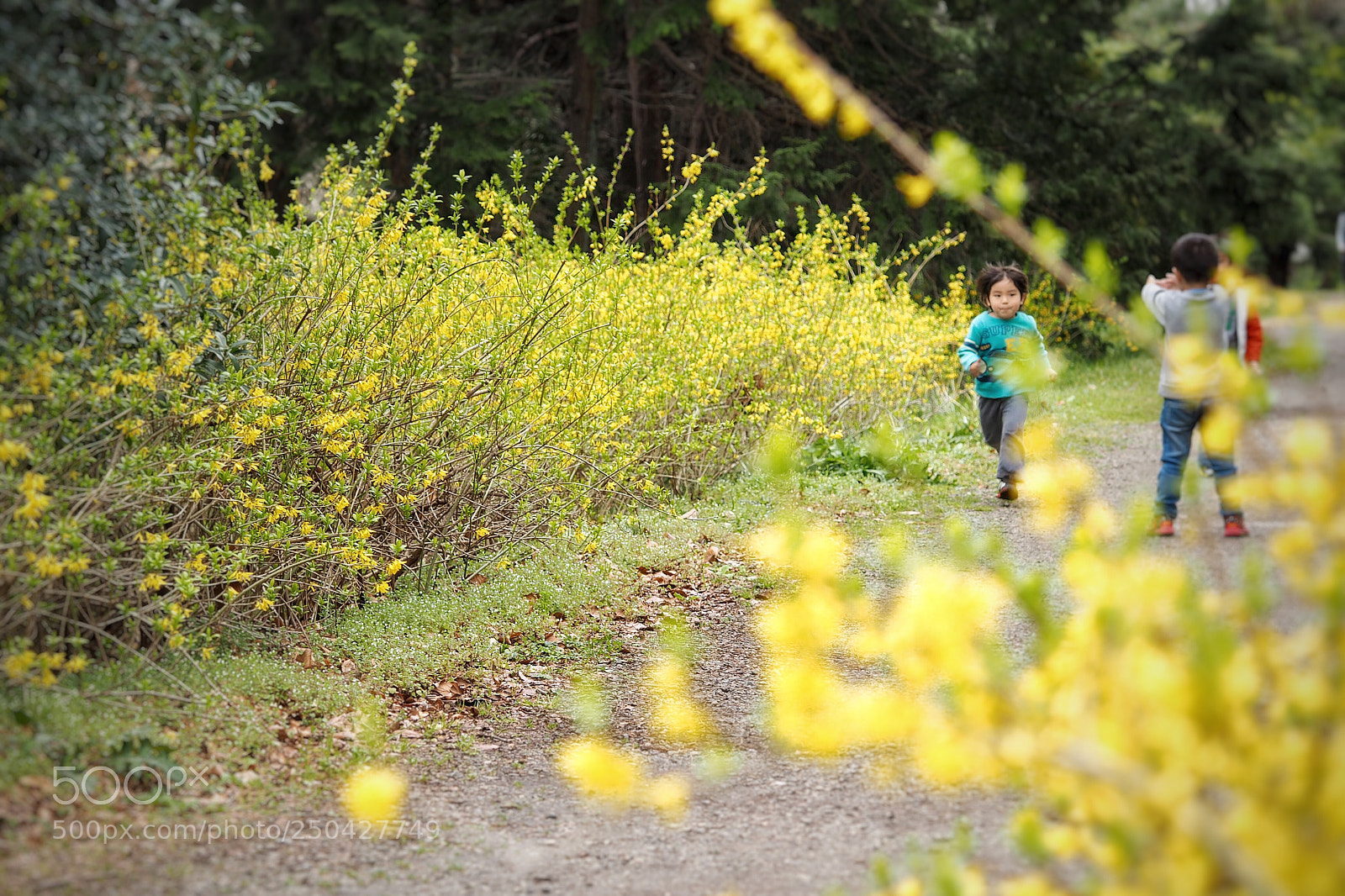 Olympus PEN E-PL7 sample photo. Spring road photography