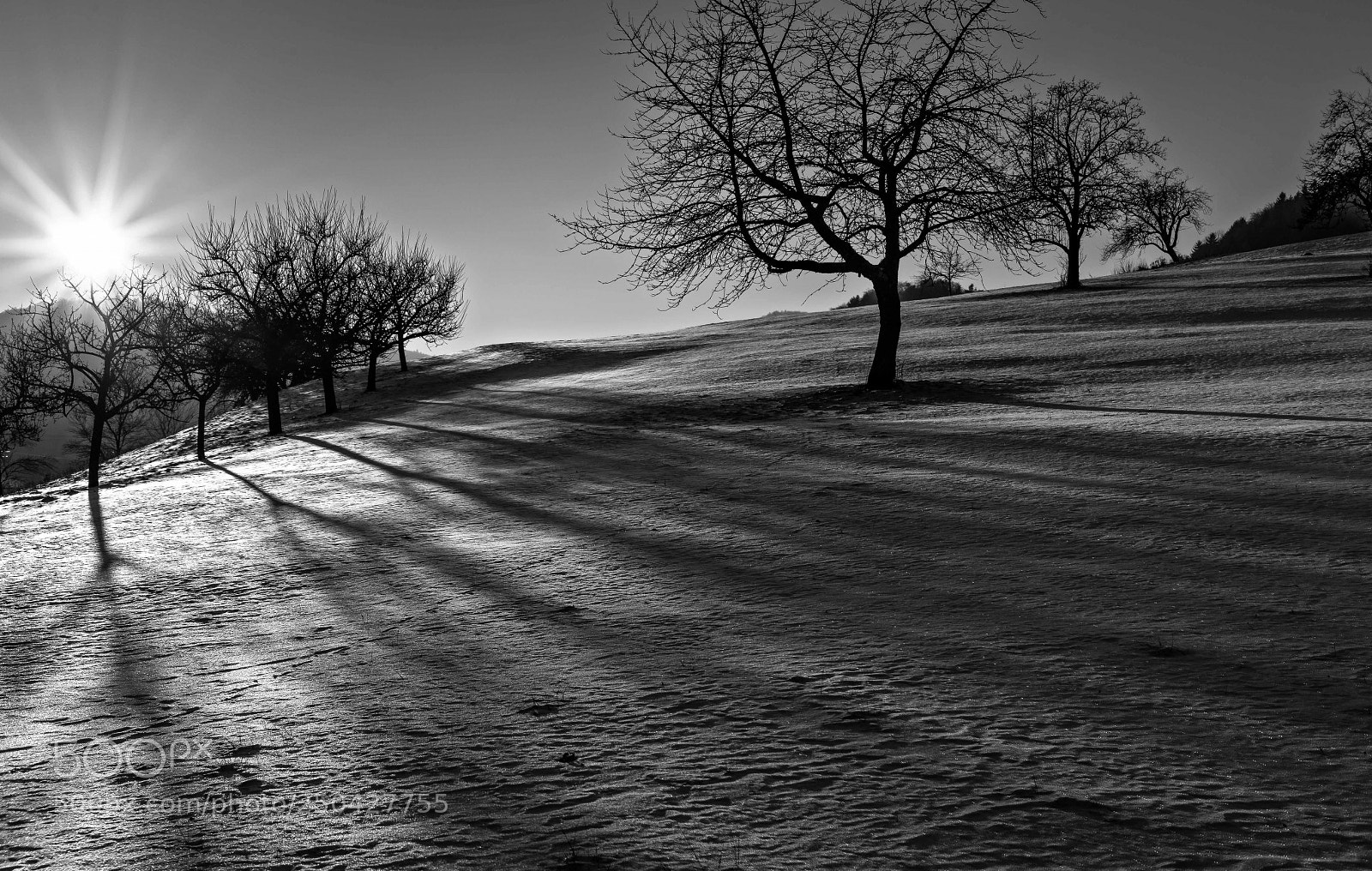 Canon EOS 5D Mark II sample photo. Winter impression photography