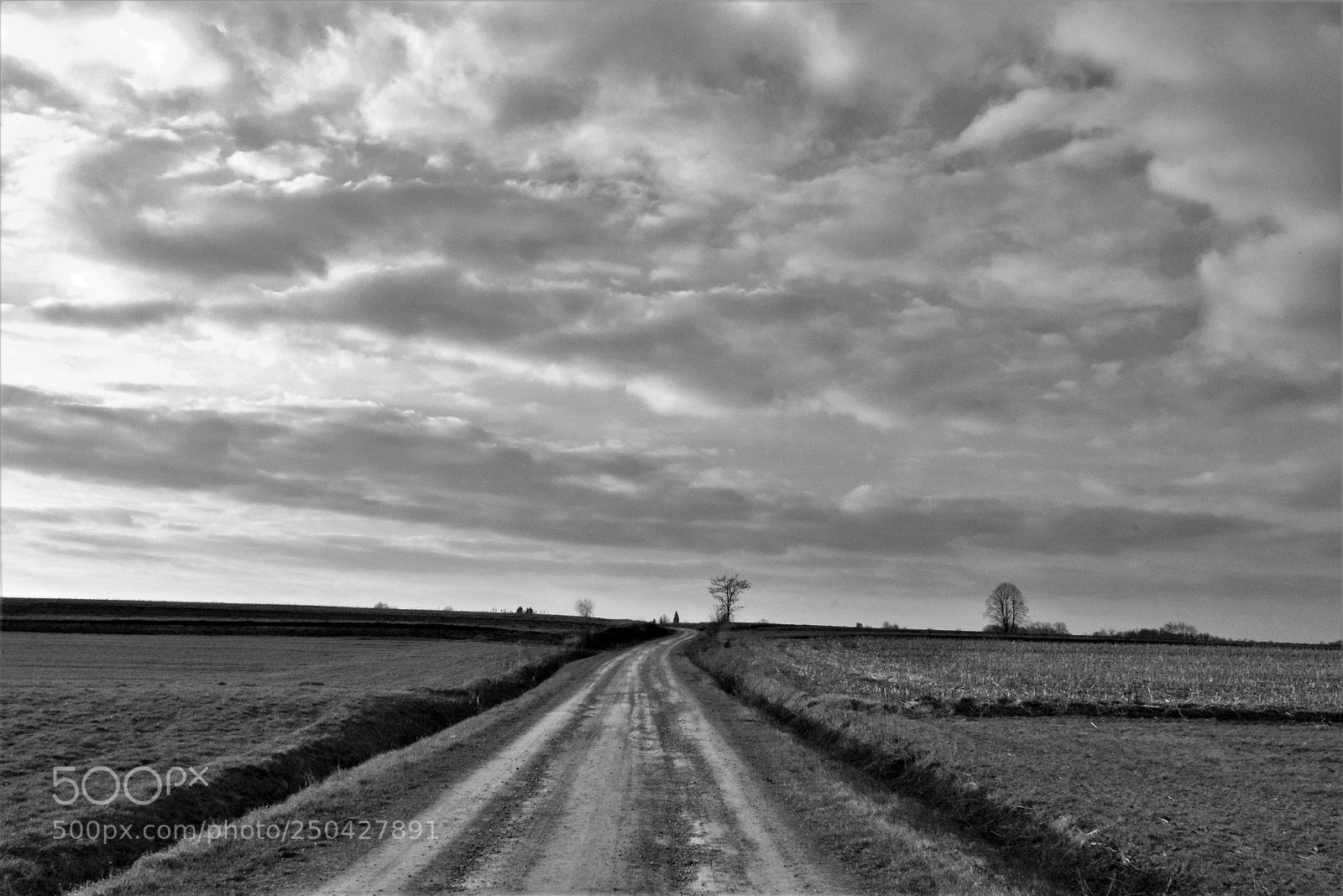 Nikon D3300 sample photo. Dirt road photography