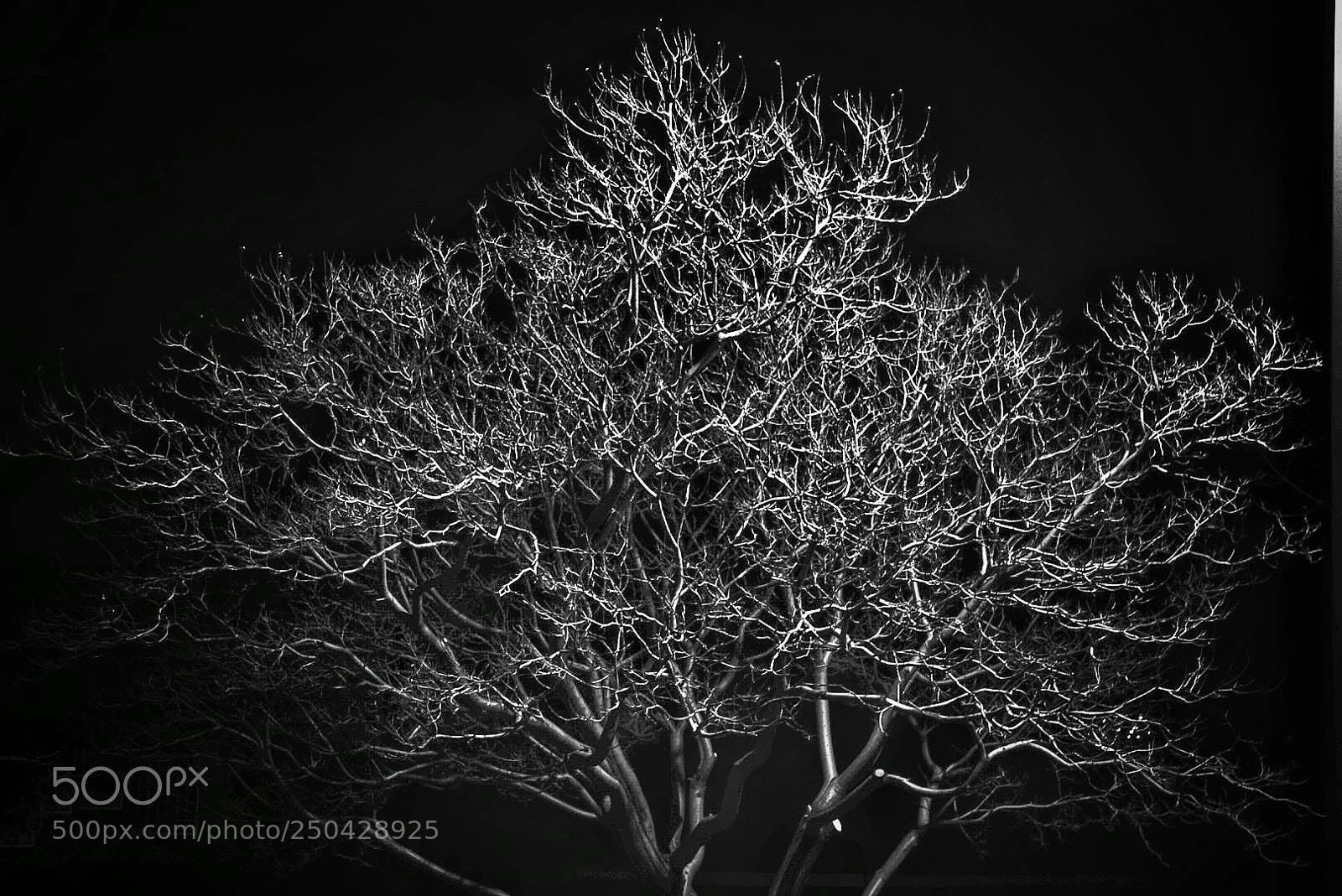 Sony a6000 sample photo. Untitled photography