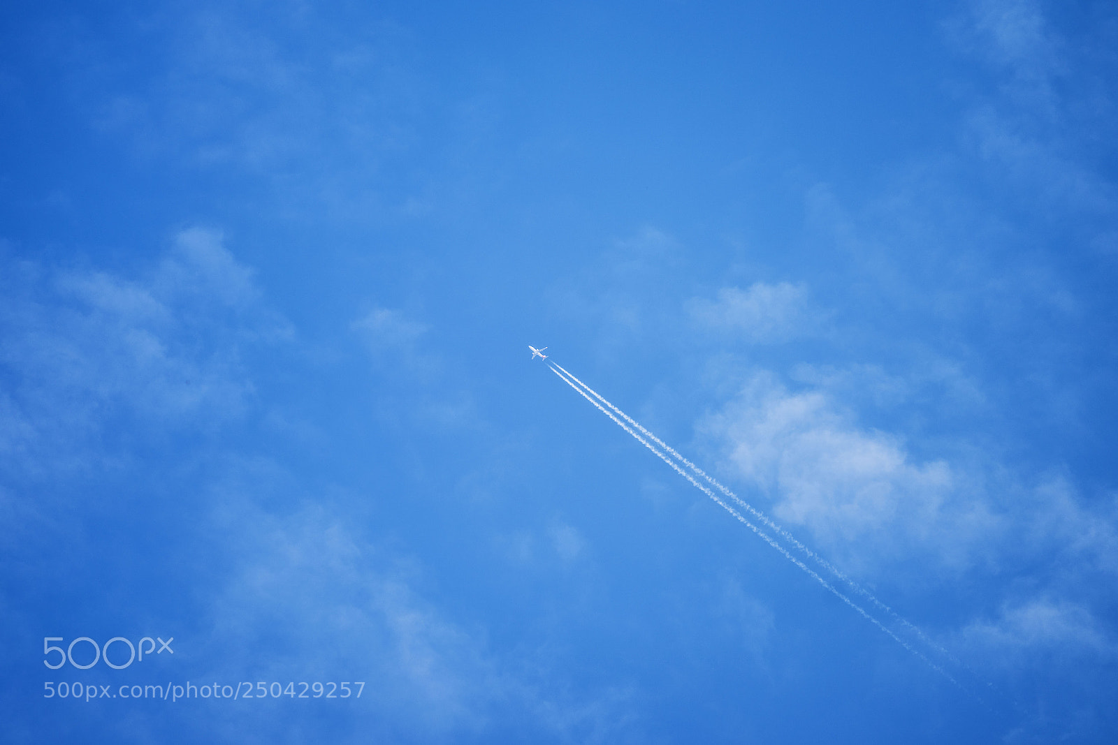 Sony a7 II sample photo. Untitled photography