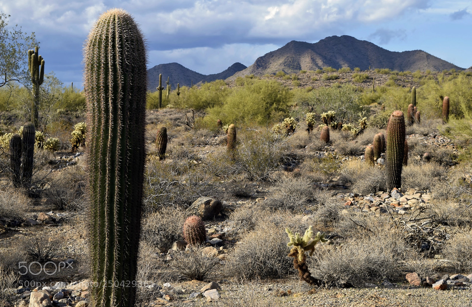 Nikon D5300 sample photo. Gateway loop trail 1 photography