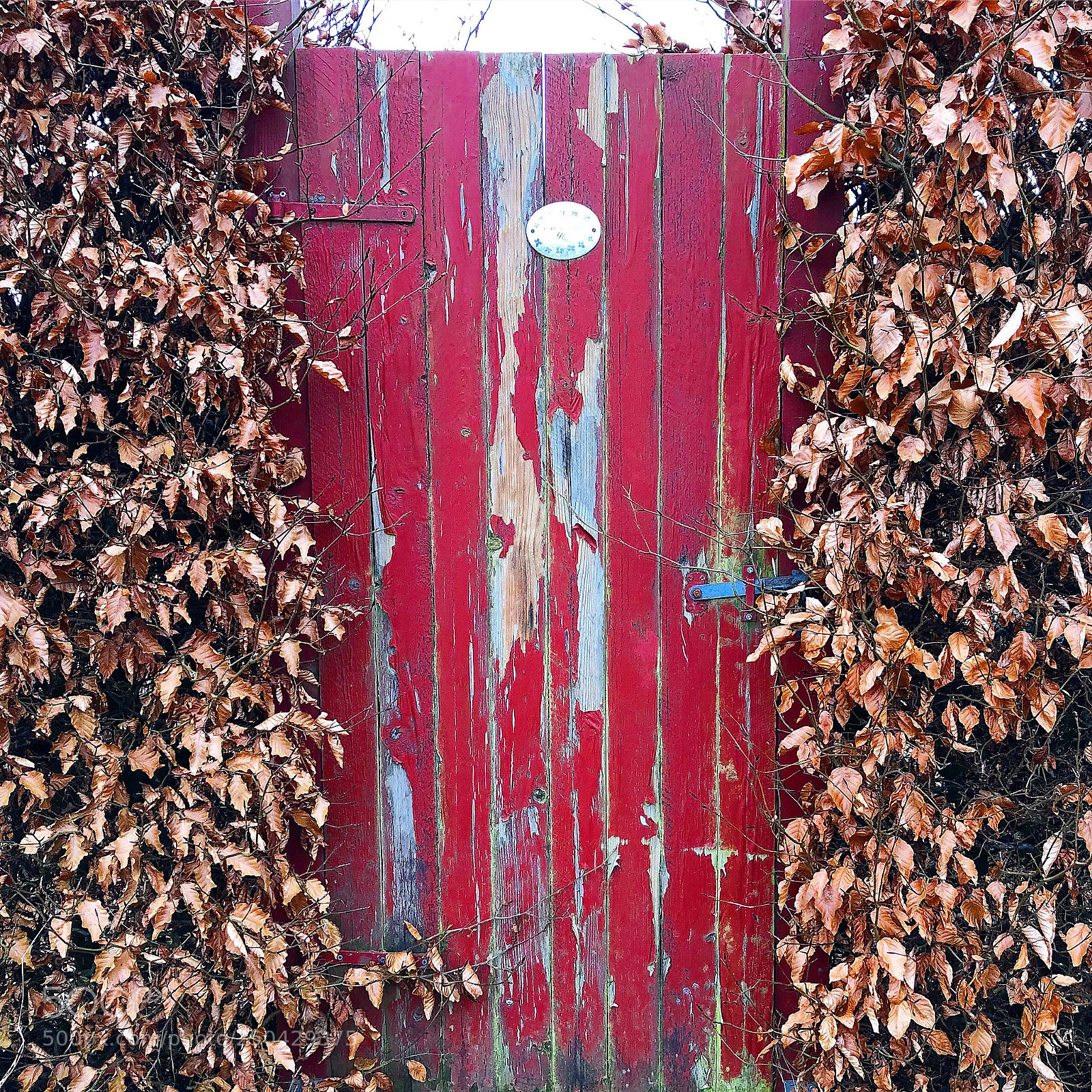 Apple iPhone 8 Plus sample photo. Old painted door photography
