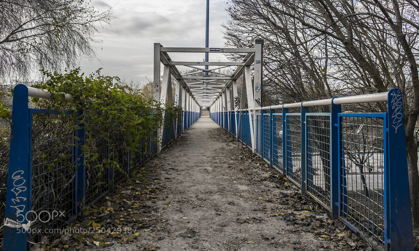Canon EOS 600D (Rebel EOS T3i / EOS Kiss X5) sample photo. The bridge photography
