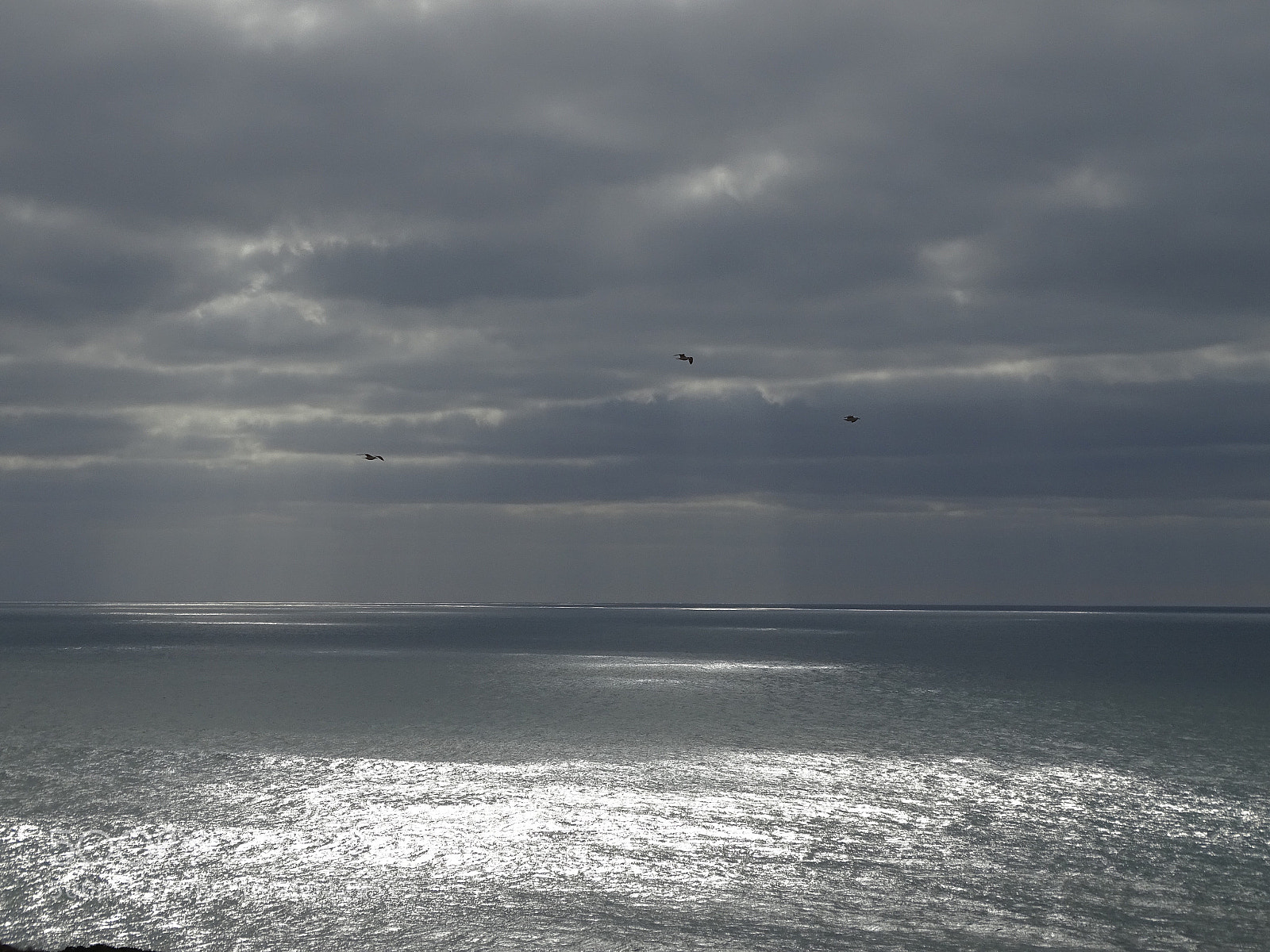 Sony Cyber-shot DSC-HX400V sample photo. Fim de tarde  photography