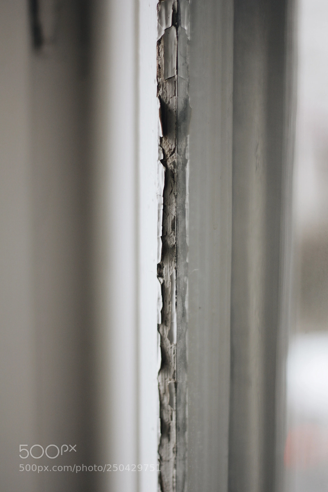 Canon EOS 60D sample photo. Untitled photography
