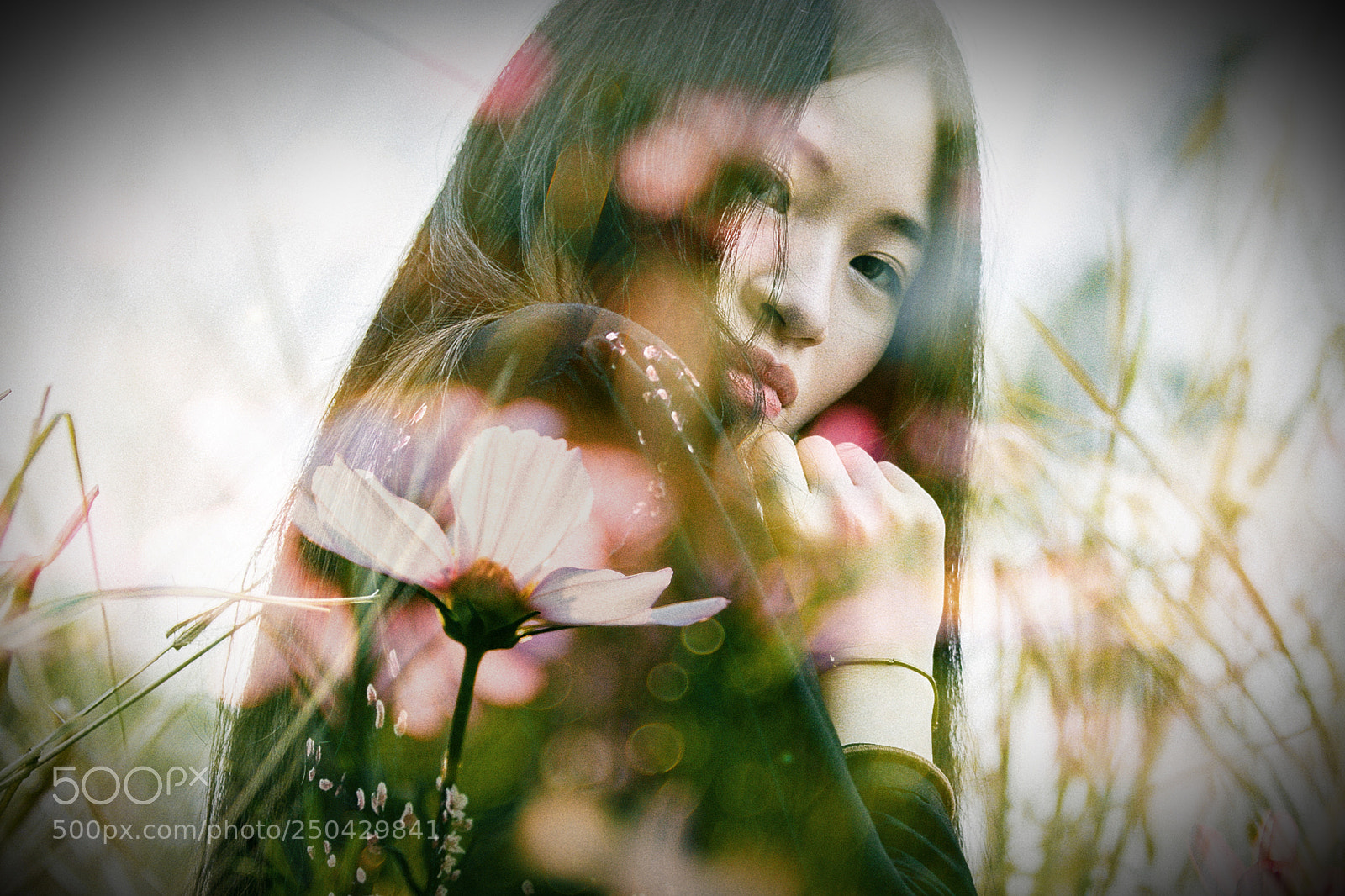 Canon EOS 5D Mark IV sample photo. Mg photography