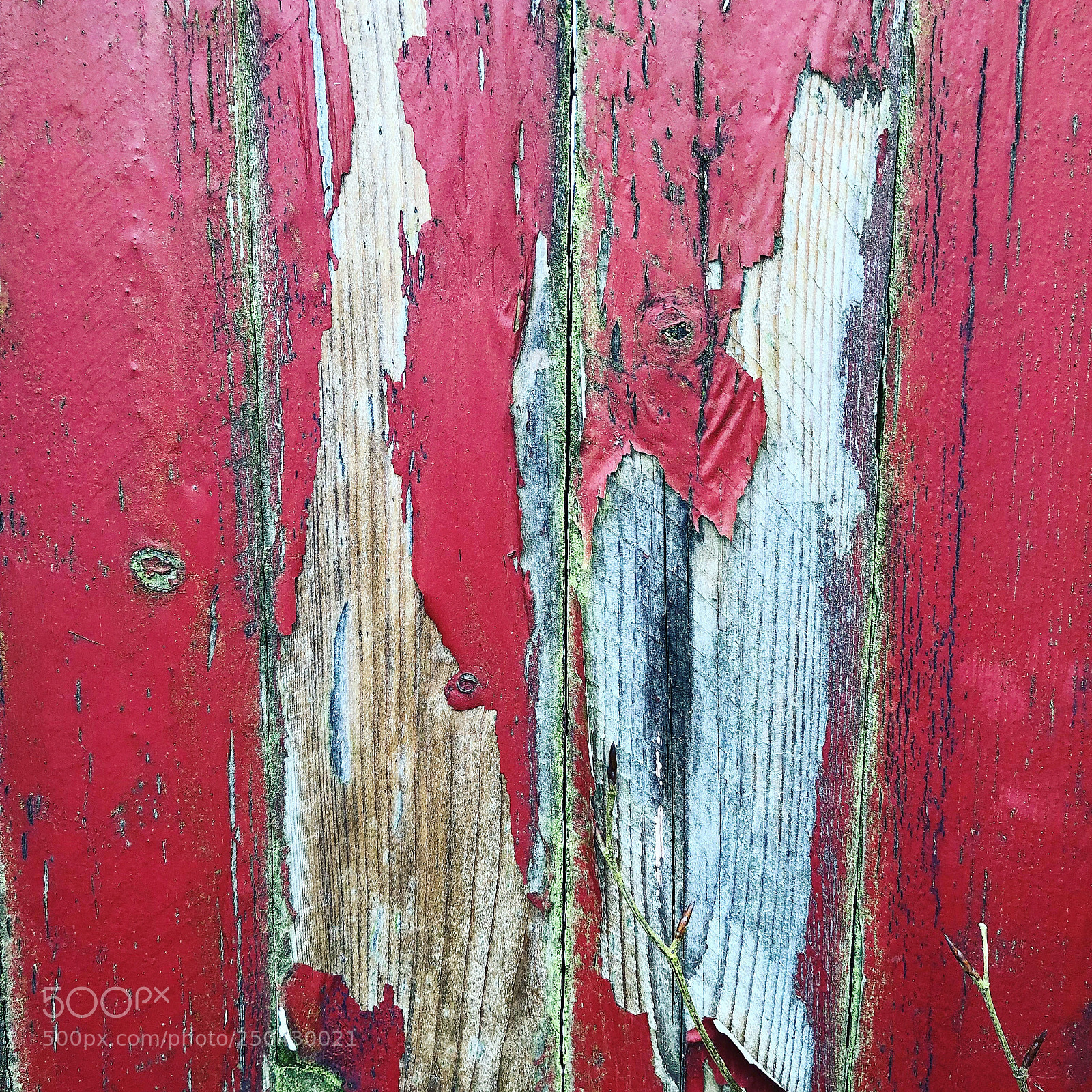 Apple iPhone 8 Plus sample photo. Oldpaintedwood photography