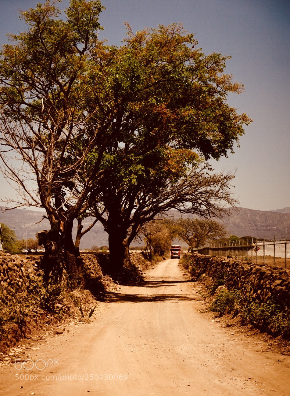 Sony a7 II sample photo. Rural road  photography