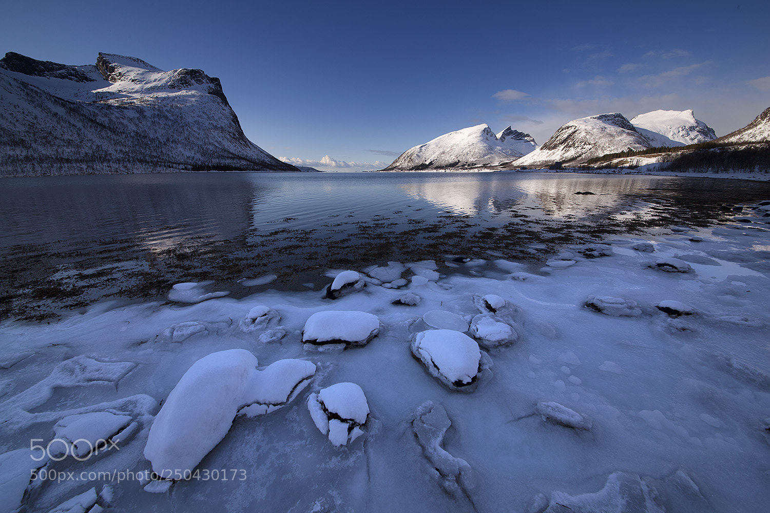 Canon EOS 5D Mark II sample photo. Frozen beach photography