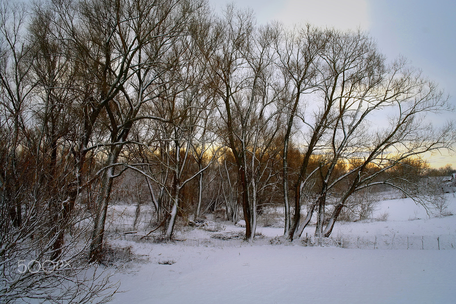 Samsung NX5 sample photo. Frost photography