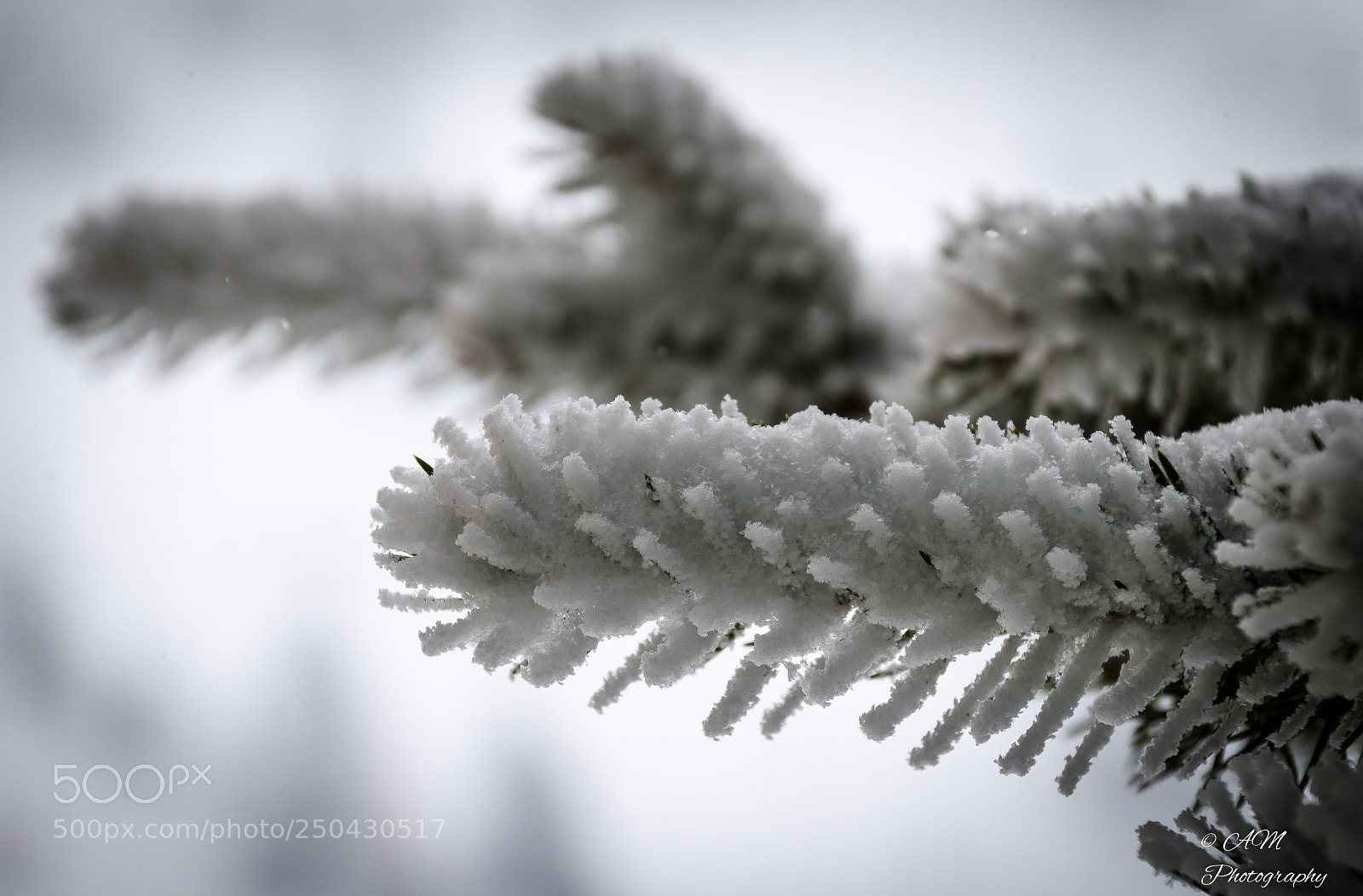 Nikon D5100 sample photo. Schnee photography