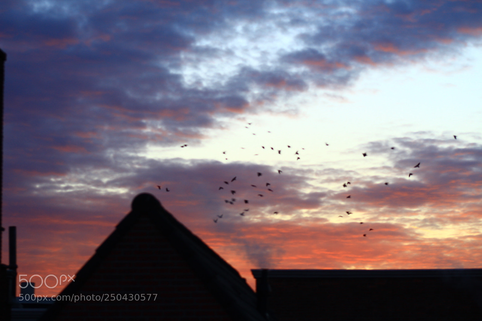 Canon EF 75-300mm f/4-5.6 sample photo. Untitled photography