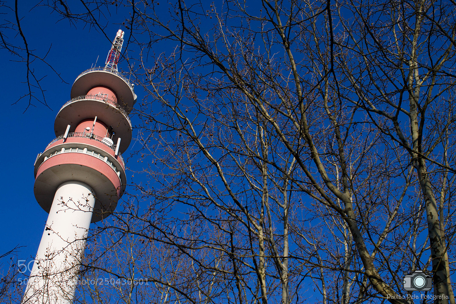 Canon EOS 1100D (EOS Rebel T3 / EOS Kiss X50) sample photo. Torre de abrantes photography