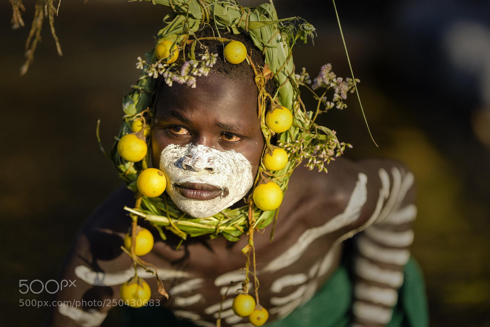 Nikon D810 sample photo. Portrait of a boy photography