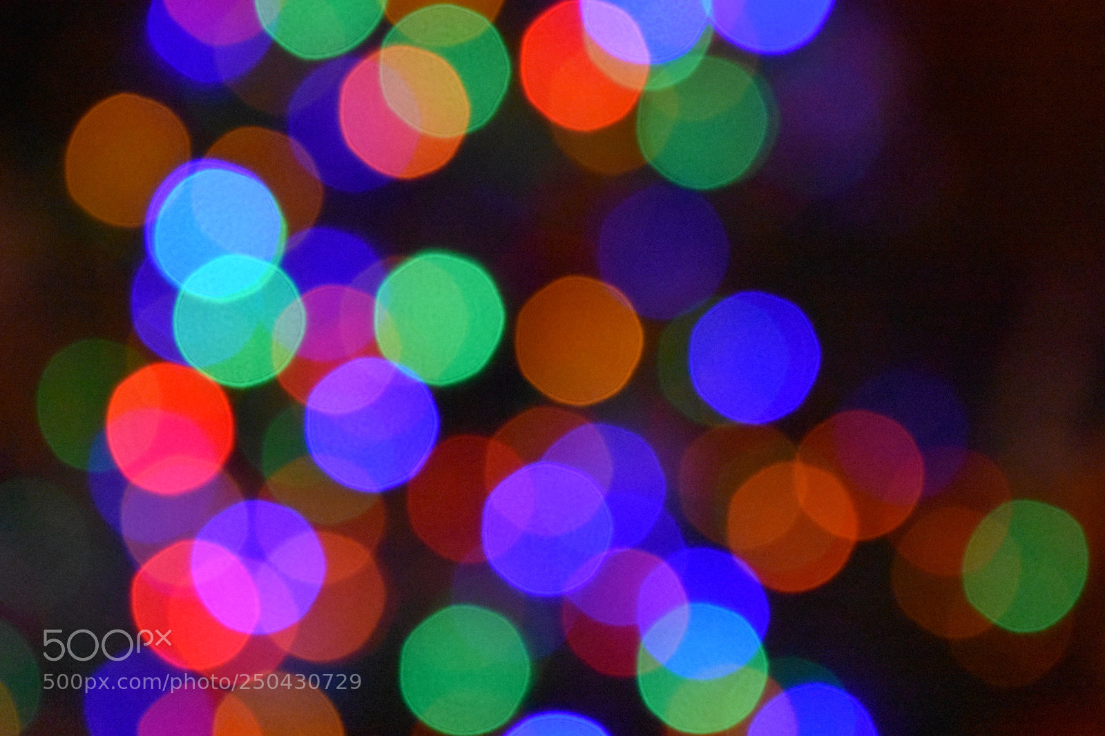 Nikon D3400 sample photo. Bokeh photography