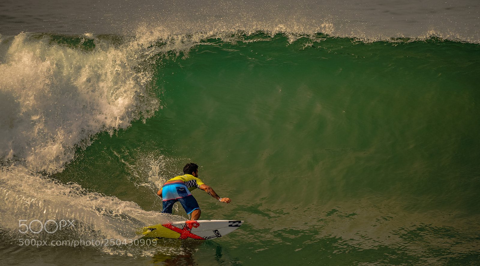 Nikon D5 sample photo. Up against the wall photography